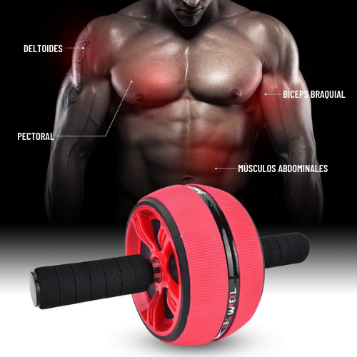 RUEDA ABDOMINAL
